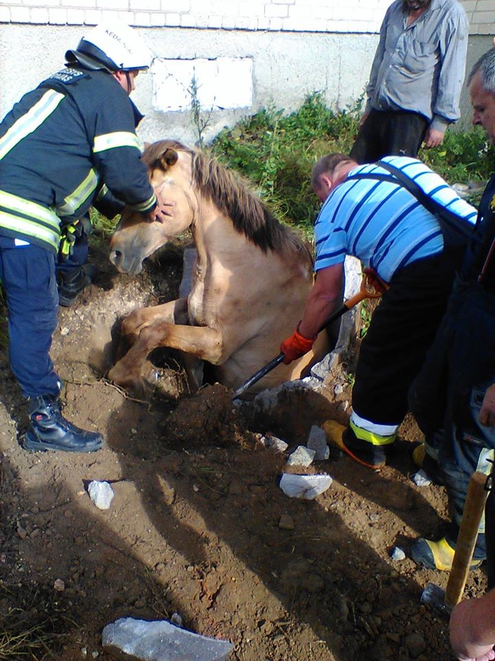 Kėdainių PGT nuotr.