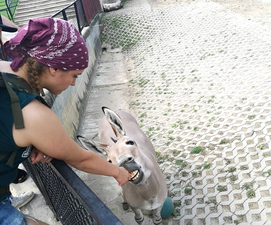 Stovyklavietėje Čekijos sostinėje Prahoje. Darija ir Laurynas per dešimtį dienų aplankė keturias šalis – Lenkiją, Čekiją, Austriją ir Italiją. Asmeninio archyvo nuotr.