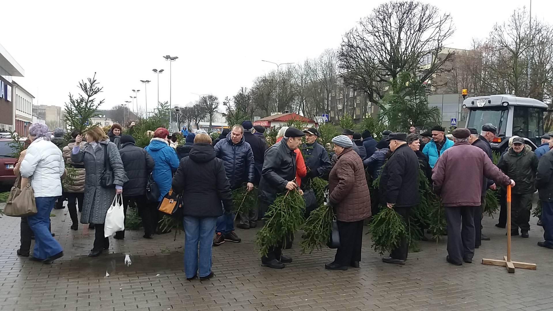 Eglių šakų nepristigo nei vienam.