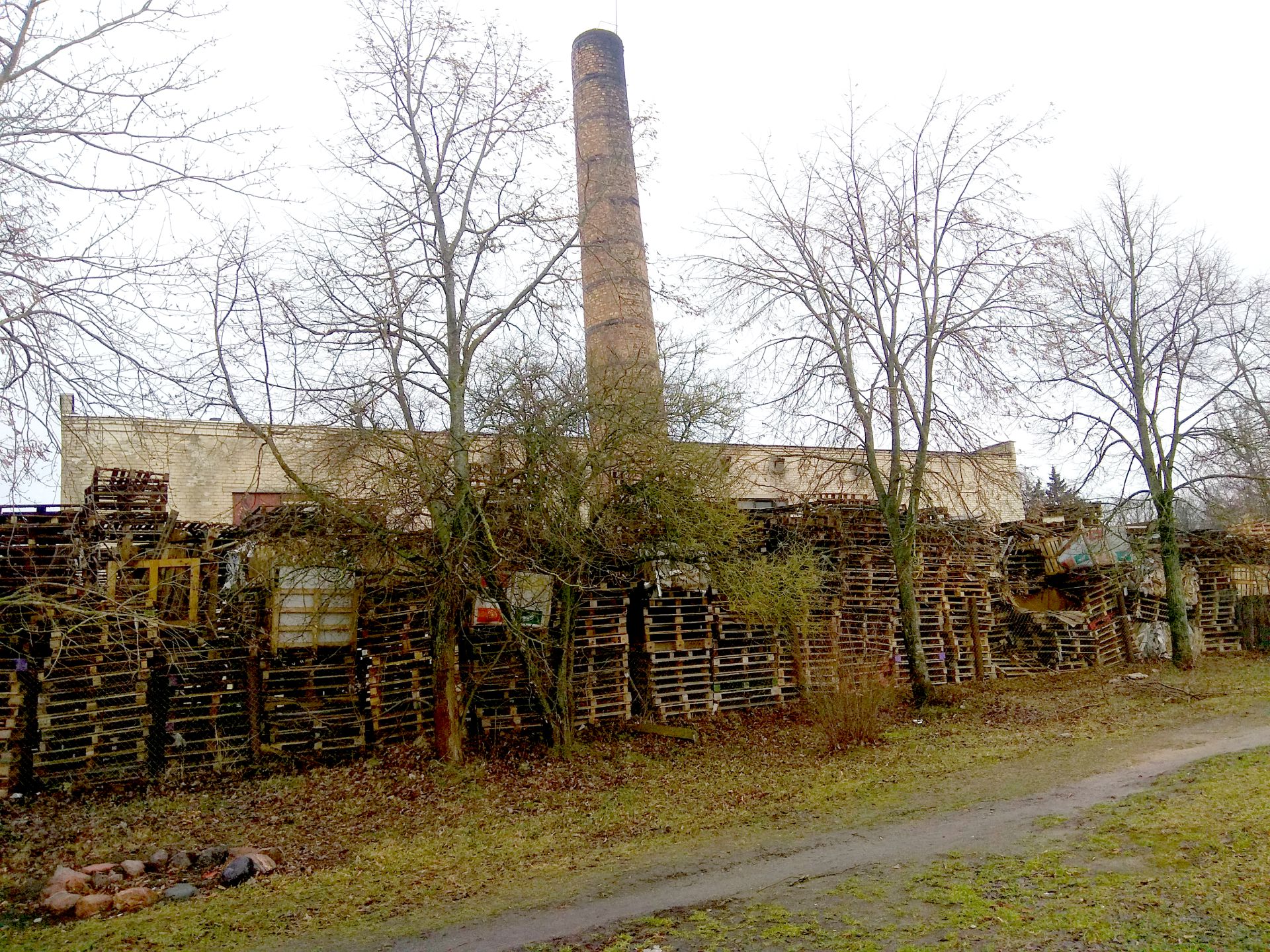 Vilainių seniūnijos Lančiūnavos kaimo katilinės kaimynystėje gyvenantys vietos gyventojai skundžiasi, kad dūmai iš katilinės teršia aplinką. / Dimitrijaus Kuprijanovo nuotr.