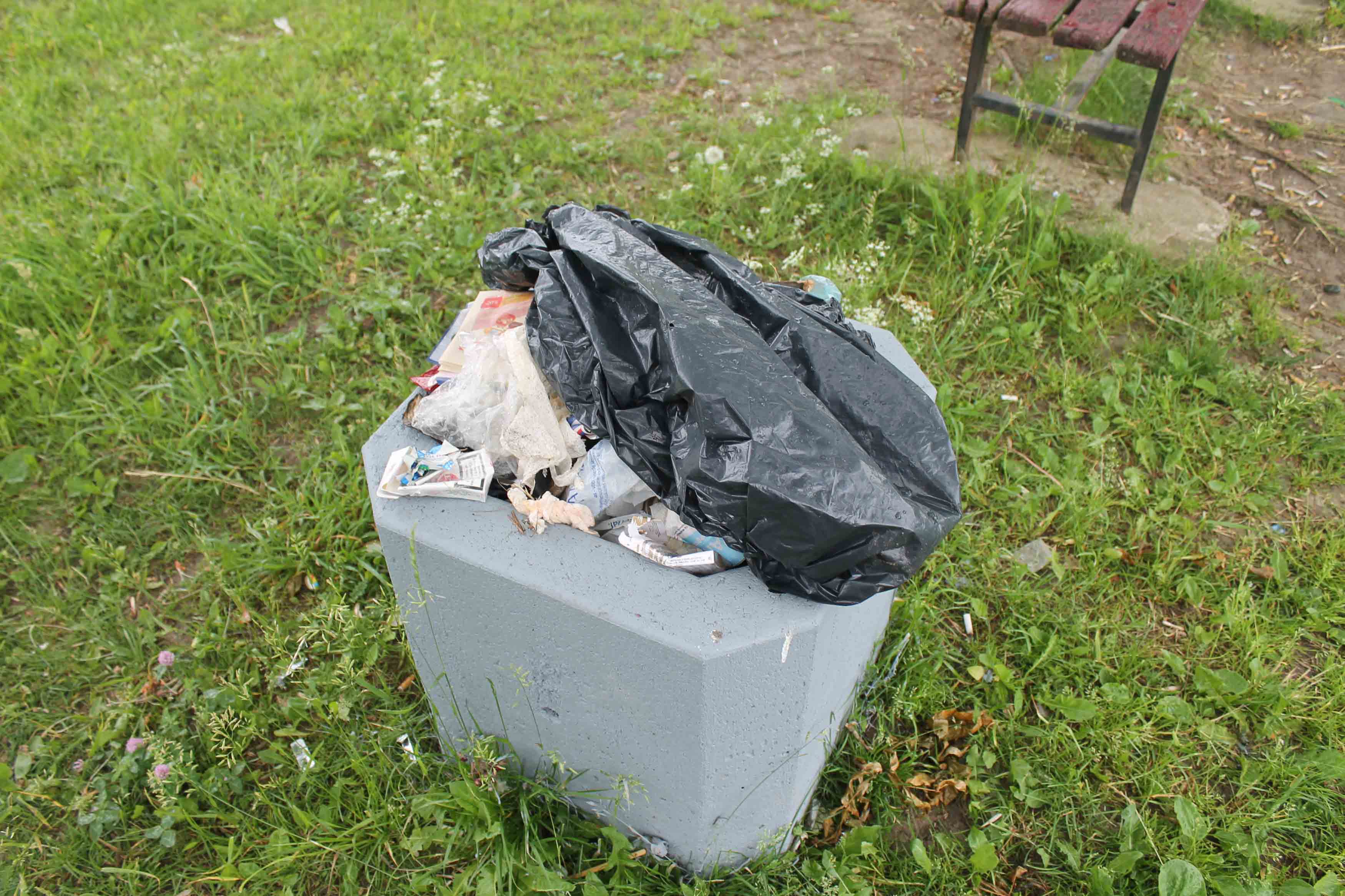Giedrės Minelgaitės nuotr.