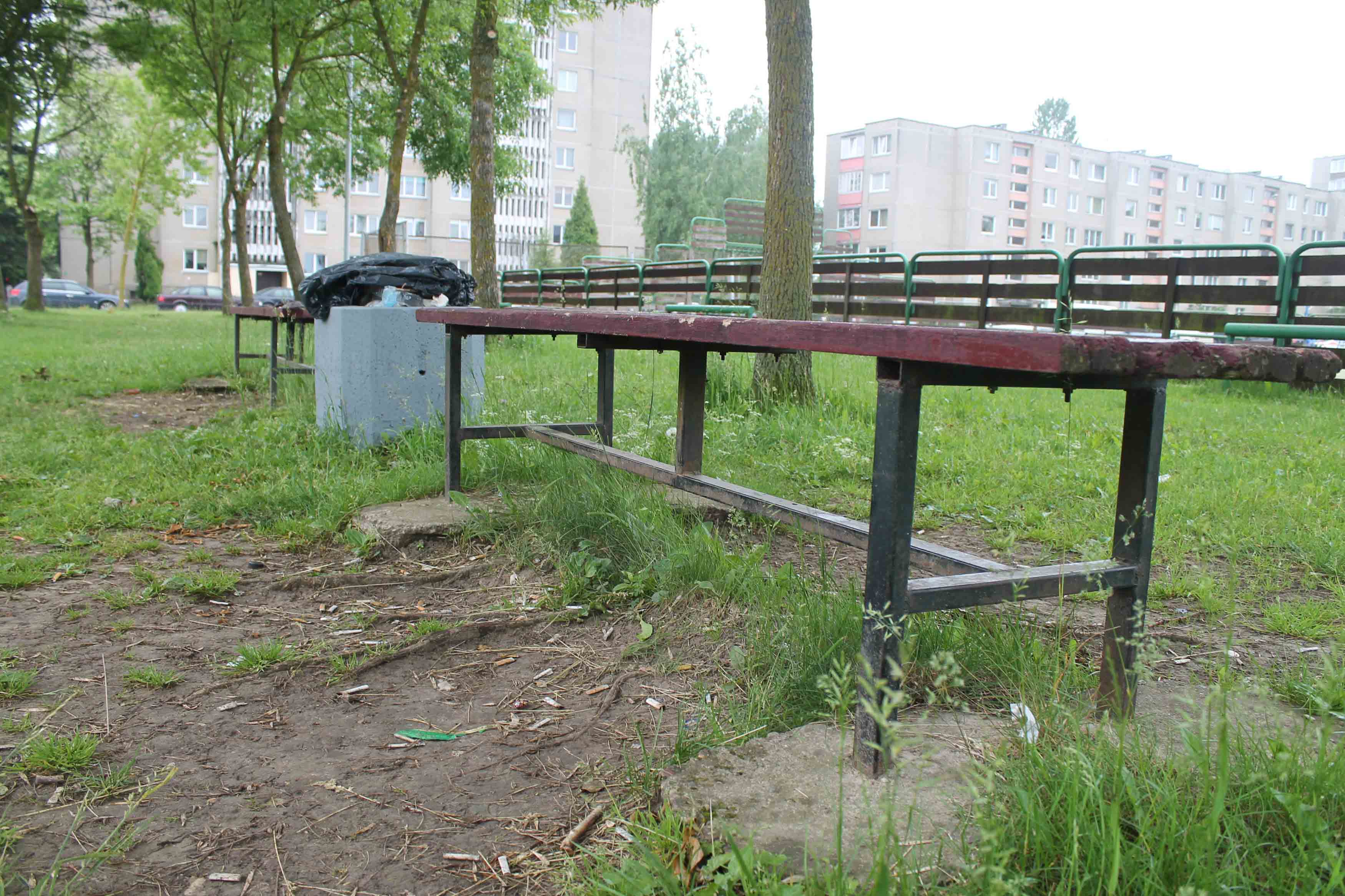 Giedrės Minelgaitės nuotr.