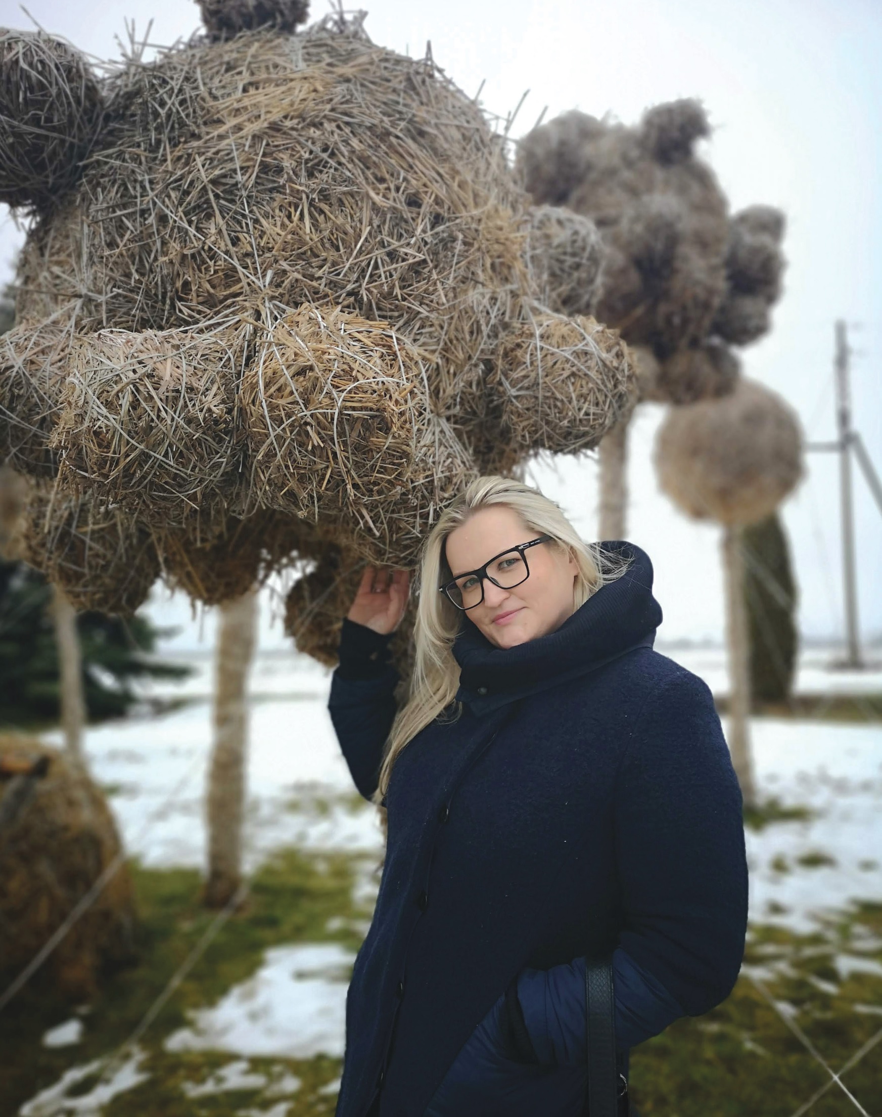 Idėja pasipuošti įspūdingomis dekoracijomis kilo Labūnavos bendruomenės centro pirmininkei, Labūnavos pagrindinės mokyklos pradinių klasių mokytoja Jurgitai Vaitiekūnienei. / A. Barzdžiaus nuotr. 