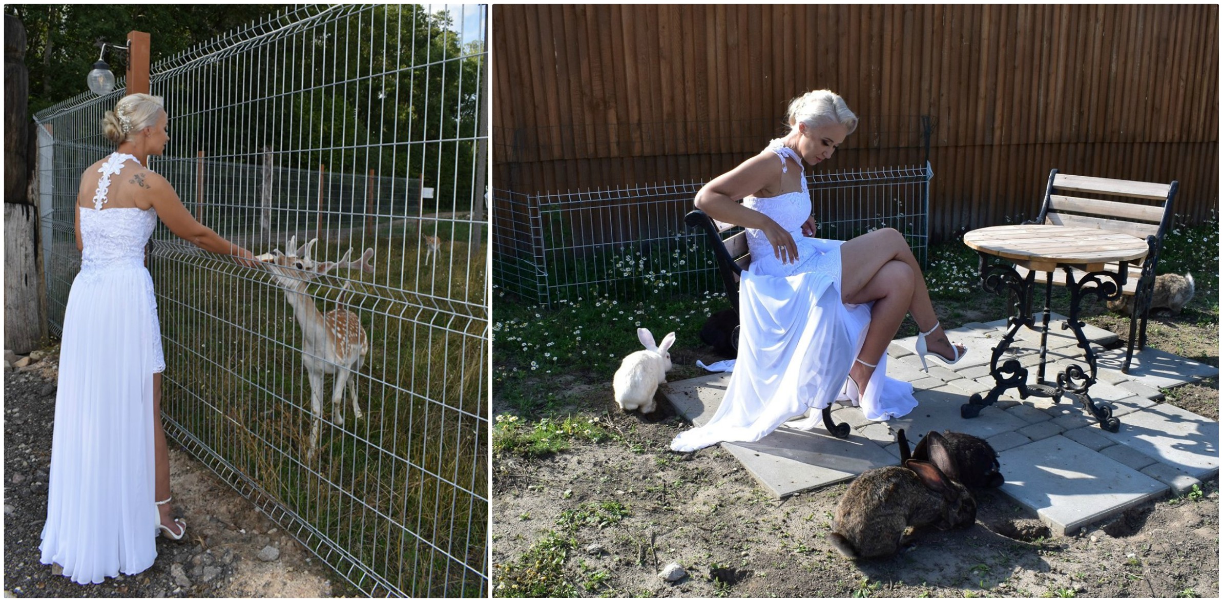 Sodybos savininkai neslepia, jog kurti ir puoselėti parką nėra lengva. Tačiau viską atperka įdėto darbo rezultatas ir jame gyvenantys mieli gyvūnai. Asmeninio archyvo nuotr.