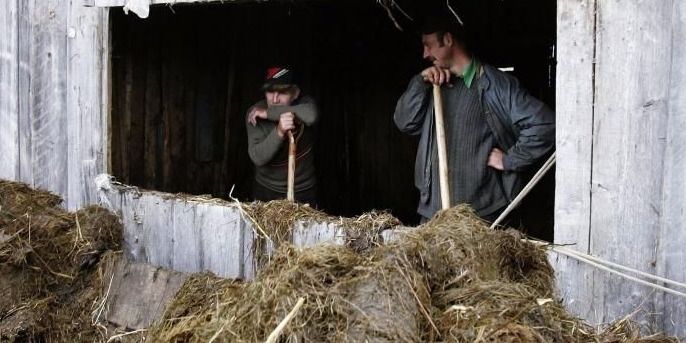  Laukus jau galima tręšti mėšlu ir srutomis