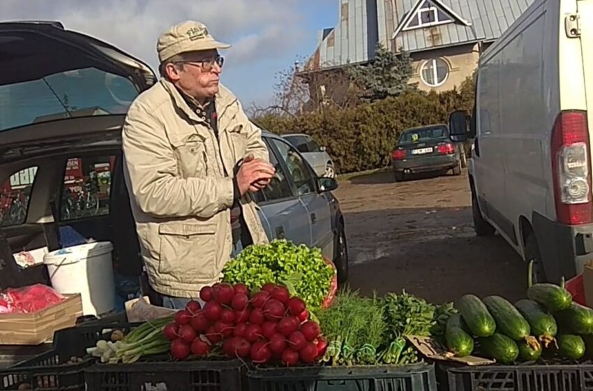  Turguje jau galima rasti ir šviežių žalumynų