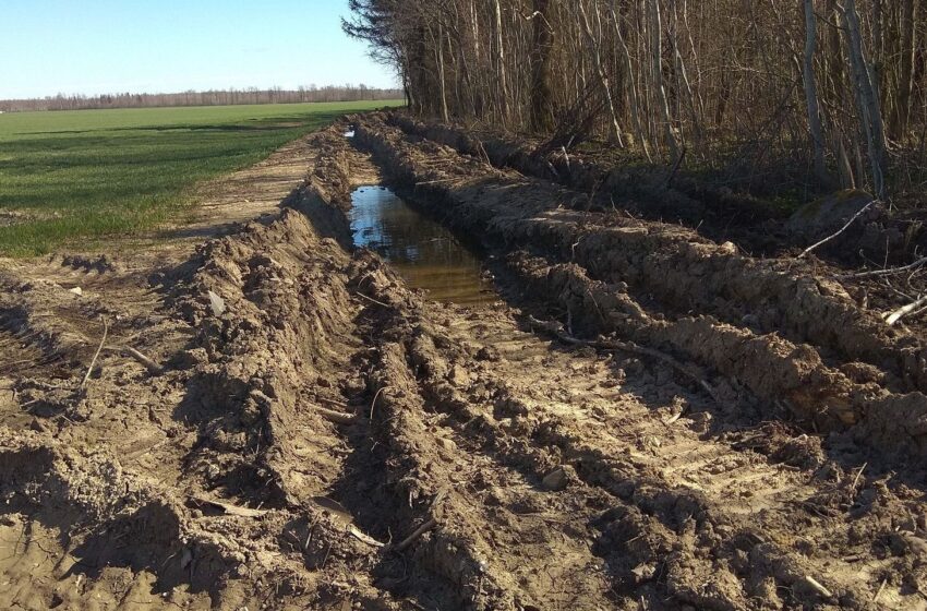  Miško kirtėjai suniokojo bendruomenės puoselėtą keliuką