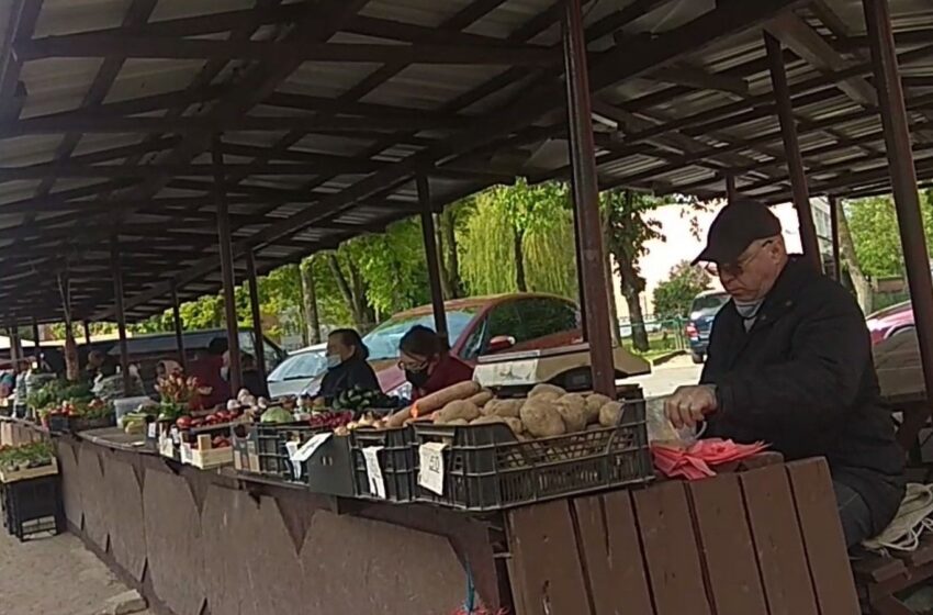  Šviežių daržovių kainos spėriai krinta žemyn