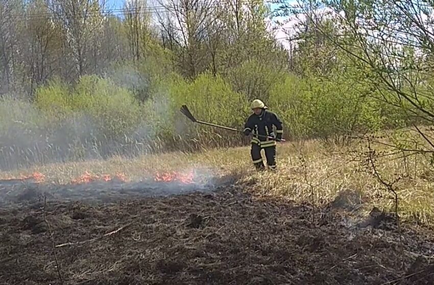  Kėdainių miškuose – pavojingai aukštas gaisringumas