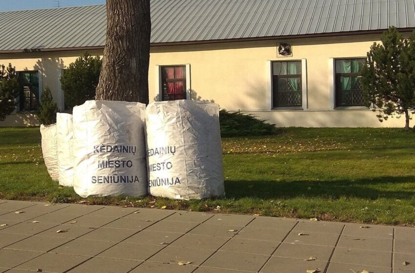  Gyventojai kviečiami prisidėti prie lapų grėbimo