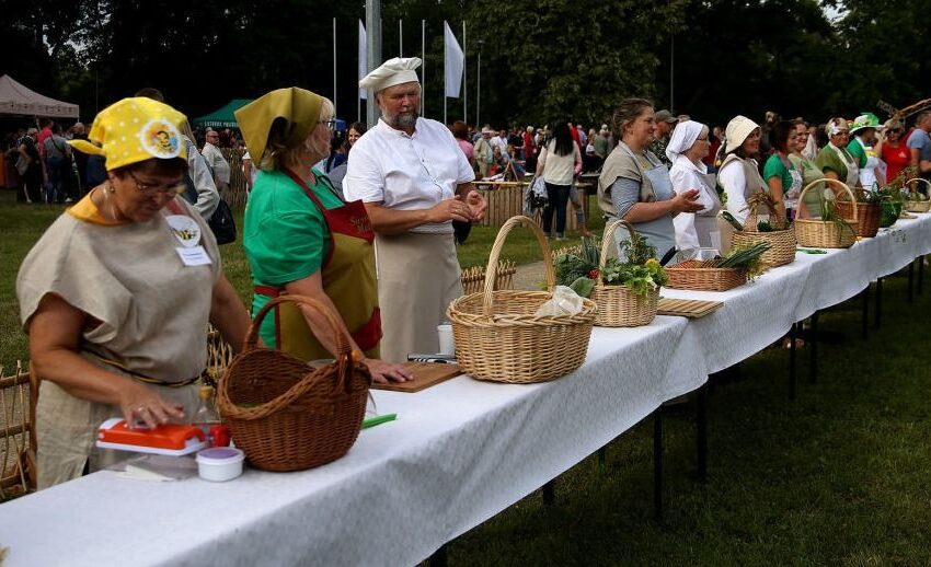  Agurkų diena – jau šiandien!