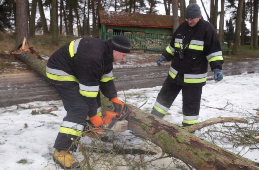  Nuvirtęs medis sukėlė pavojų