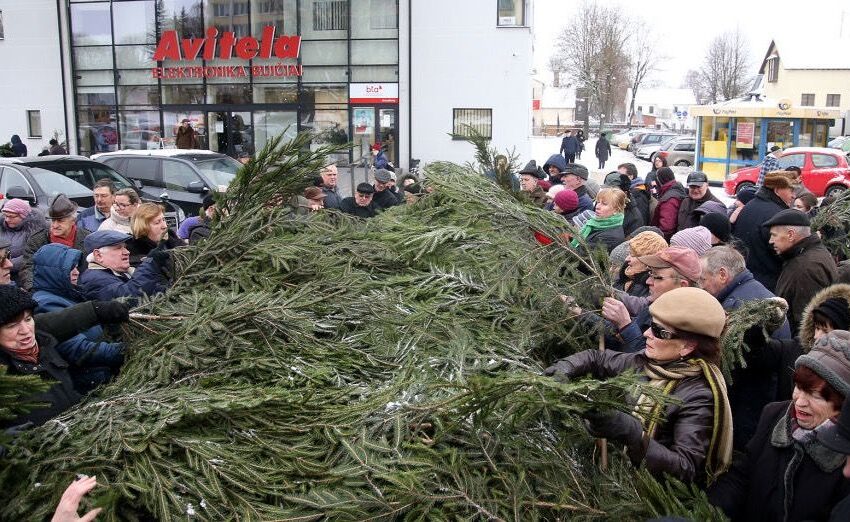  Miškininkai tęsia tradicijas: miestelėnams dovanojo eglišakius (GALERIJA)