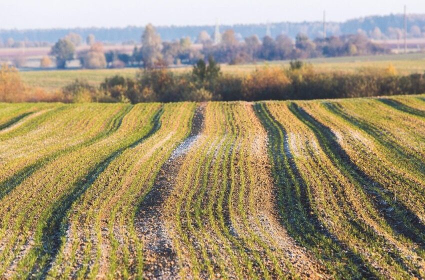  Ūkininkus pasieks beveik 34 mln. eurų