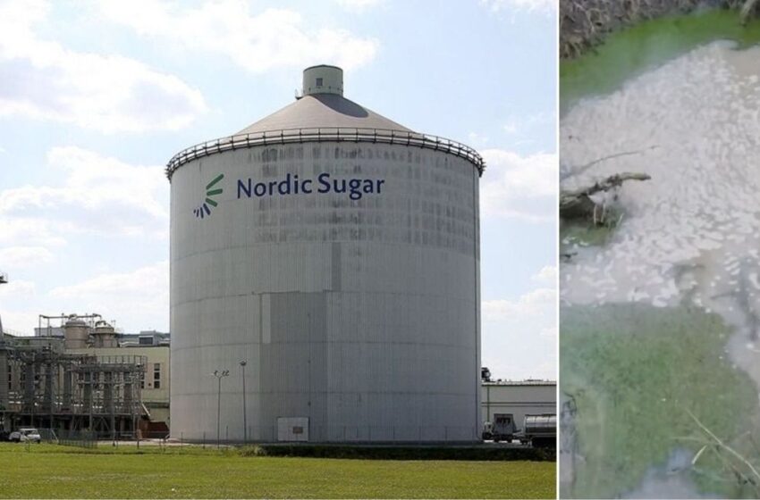  „Nordic Sugar“ padaryta žala gamtai – itin didelė