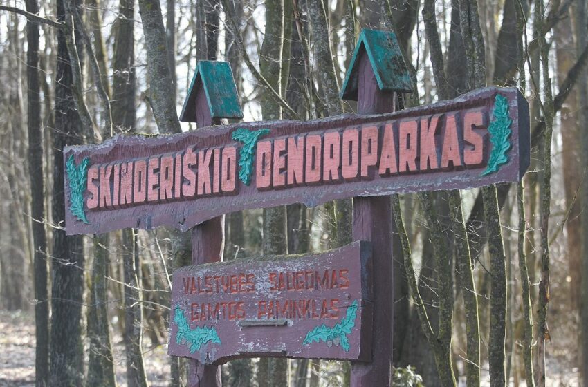  Skinderiškio dendrologiniam parkui – pusė šimto metų