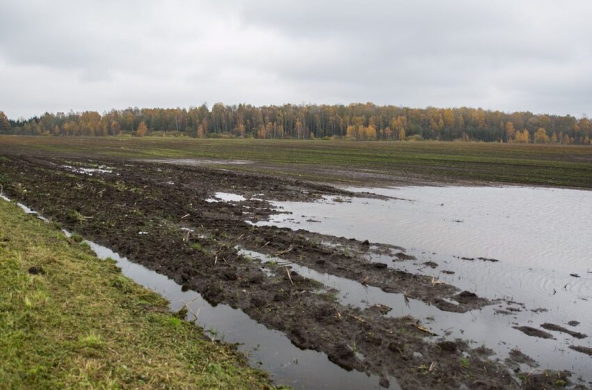  Patvirtinta ES parama nuo liūčių nukentėjusiems ūkininkams