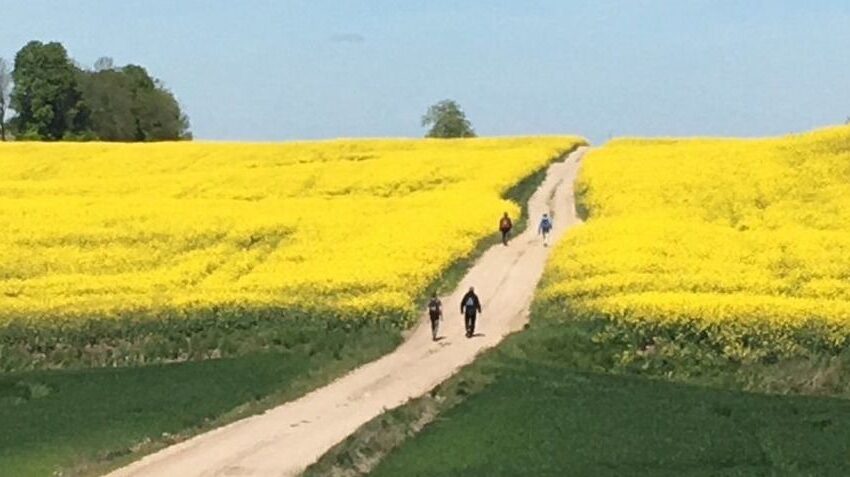  Kviečia į lietuvišką piligriminį 500 kilometrų žygį