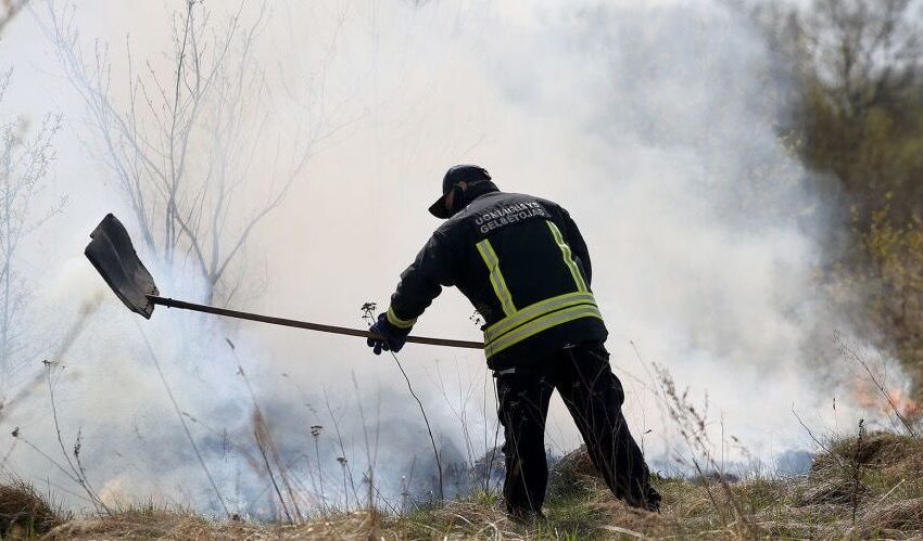  Žolė užsidegė nuo elektros laidų