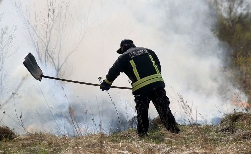  Kėdainių rajone degė miško paklotė