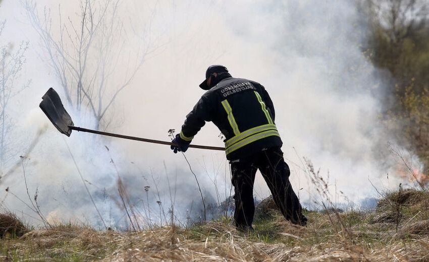  Didžiuliame Daumantų sodų plote liepsnojo žolė