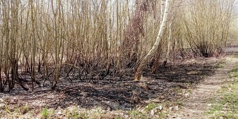  Šalia Kėdainių kuro bazės degė miško paklotė