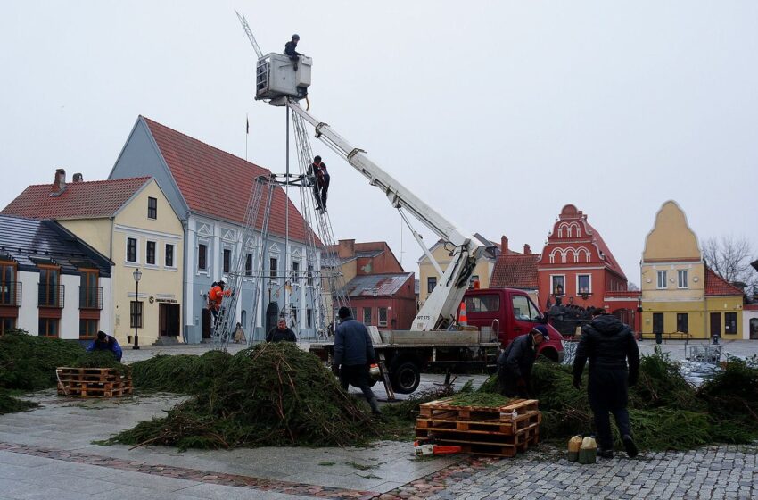  Pradėta statyti šventinė miesto puošmena – eglė (GALERIJA)