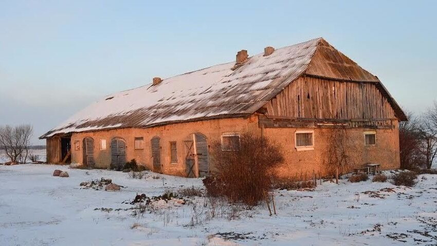  Kviečia prisidėti prie paminklo Adelės Dirsytės gimtinėje statybų