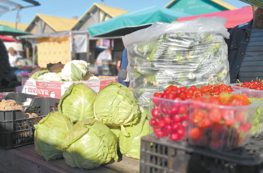  Kiek šiemet kainuos daržovės?