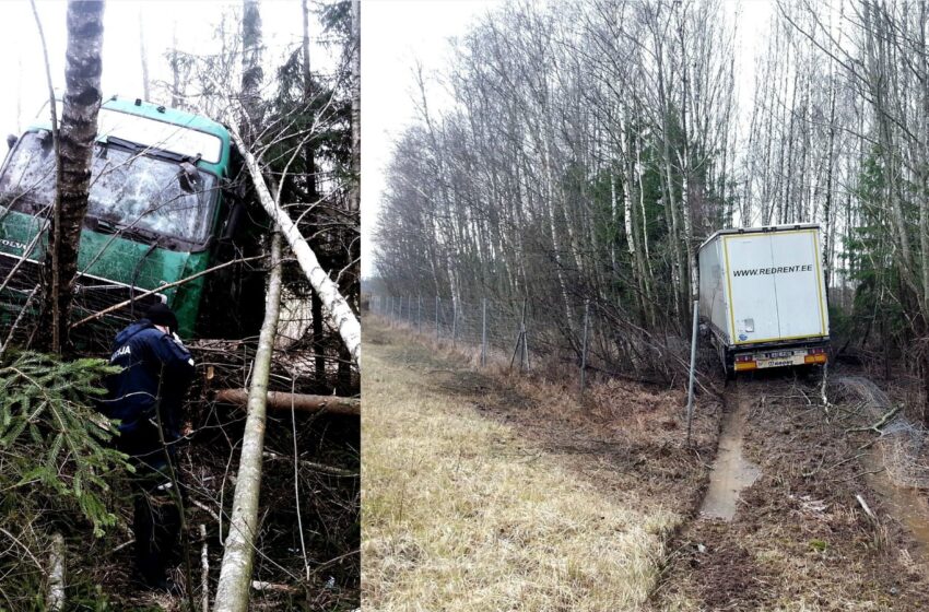  Nuo kelio nulėkęs vilkikas rėžėsi į pakelės medžius
