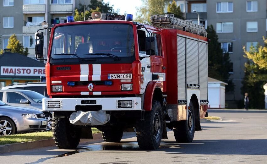  Ugniagesiai gelbėjo kačiuką