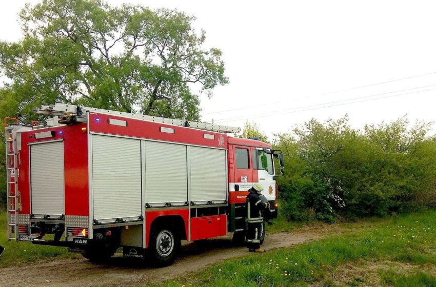  Kėdainių miškuose – aukščiausias gaisringumo lygis