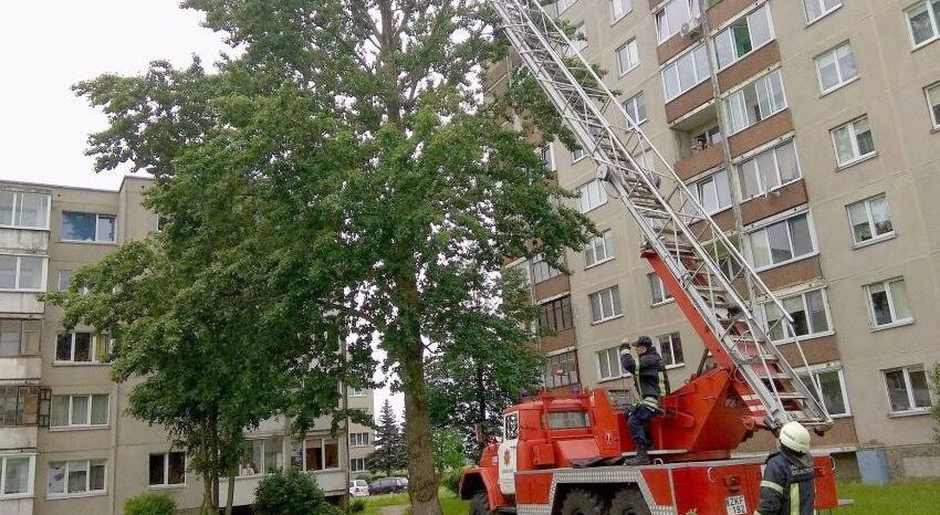  Ugniagesiai iš 20 metrų aukščio iškėlė katiną