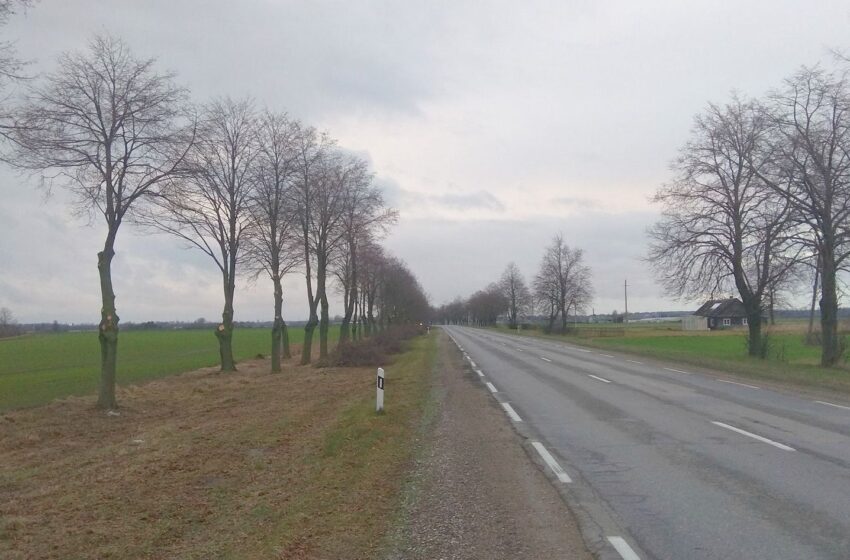  Genimas įvažiavimas į miestą nuo Vilainių