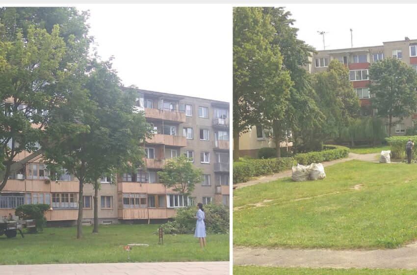  Miesto seniūnija geni medžius ir krūmynus