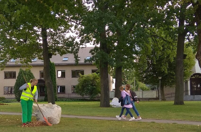  Miesto seniūnija stoja į kovą su krintančiais lapais