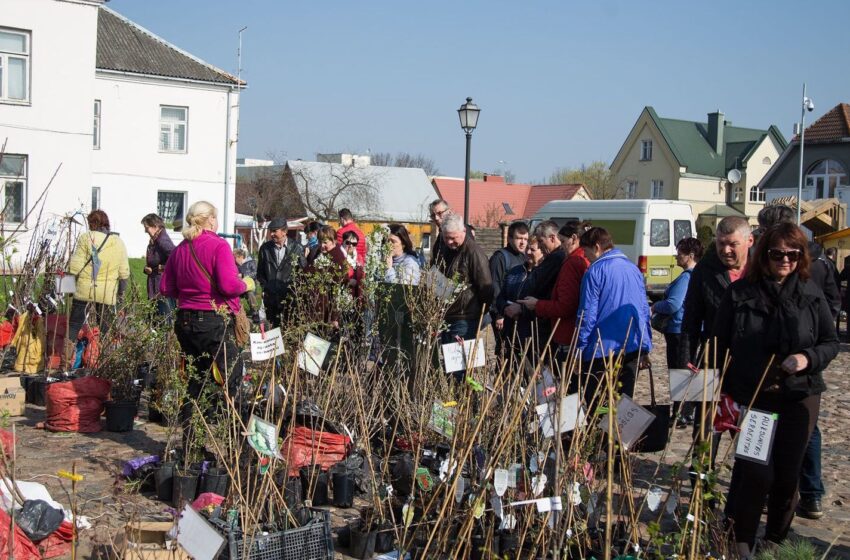  Jurginių kermošius: nuo obelų sodinukų iki odos galanterijos (FOTOGALERIJA)