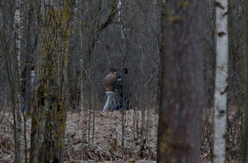  Akistata: pirmasis įtariamasis jau apklaustas pamiškėje Kėdainių rajone (fotogalerija, video)