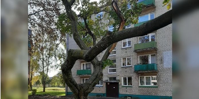  Žemaitės kvartalas bus sutvarkytas iš esmės