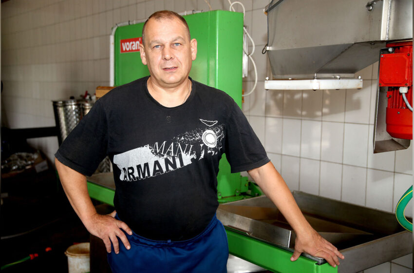  Sulčių spaudėjai: šiemet obuolių metai