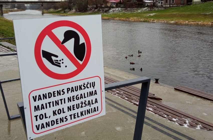  Bandys apsaugoti vandens paukščius