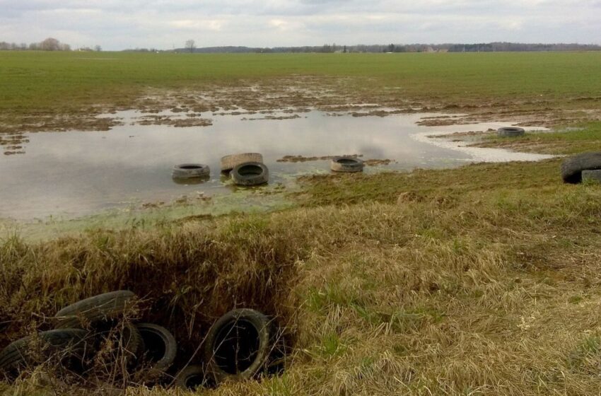  į Kėdainių pakeles išmesta dar 200 padangų
