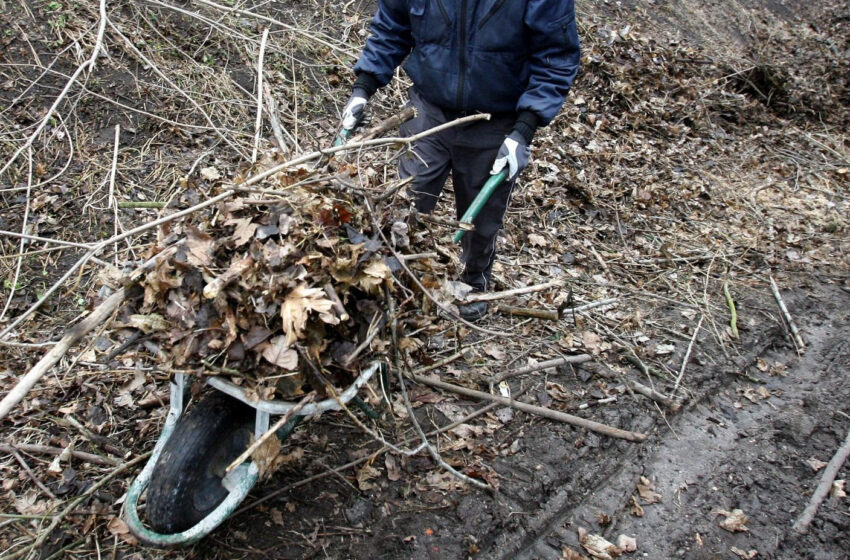  5 patarimai gyventojams ruošiantis pavasarinei talkai