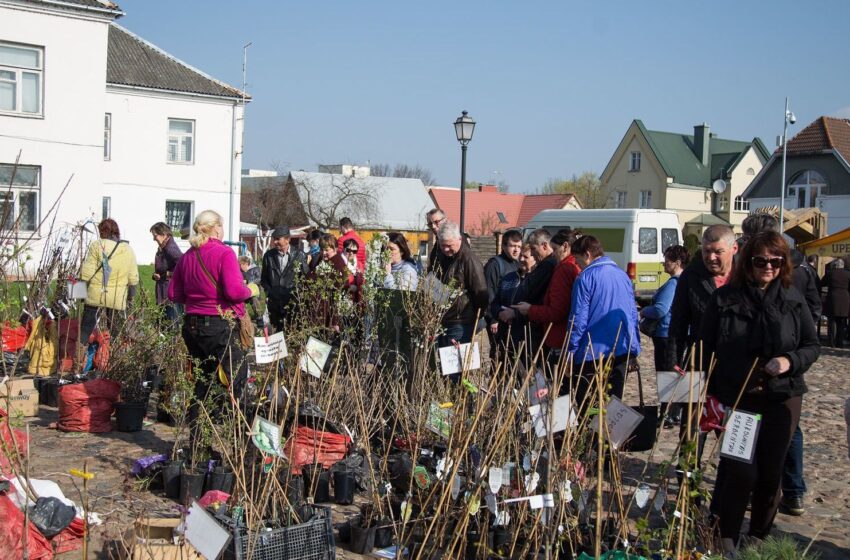  Šeštadienį – tradicinė pavasario mugė „Jurginių kermošius“