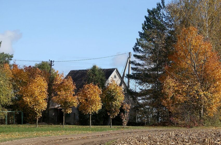  Klimatologai: žiema ateiti neskubės