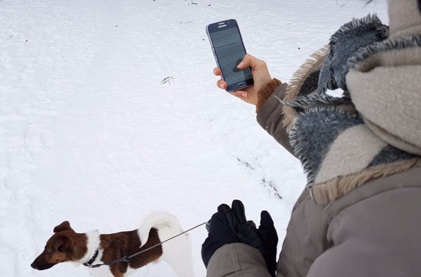  Neleisk šalčiui sugadinti telefono