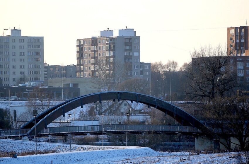  Šalčiai po truputį atlėgs, kitą savaitę – teigiama temperatūra