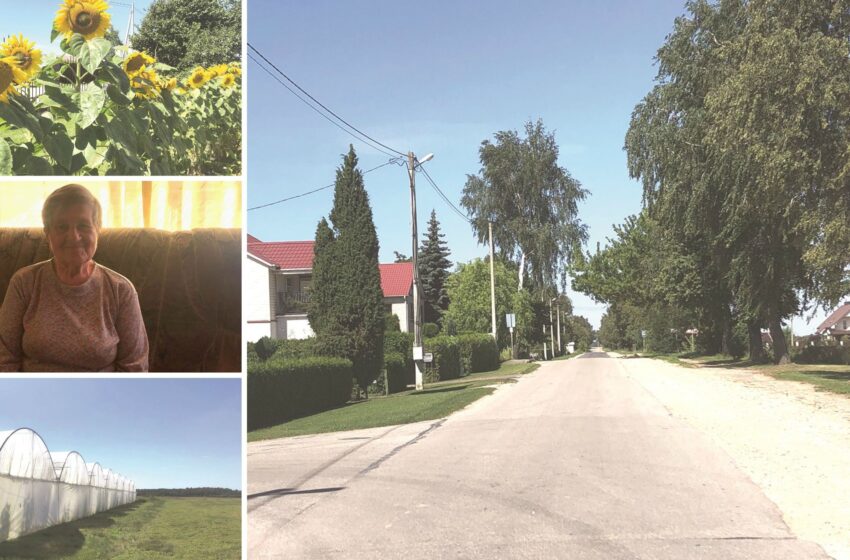  Keleriškiai: kaimo ir miesto samplaikoje