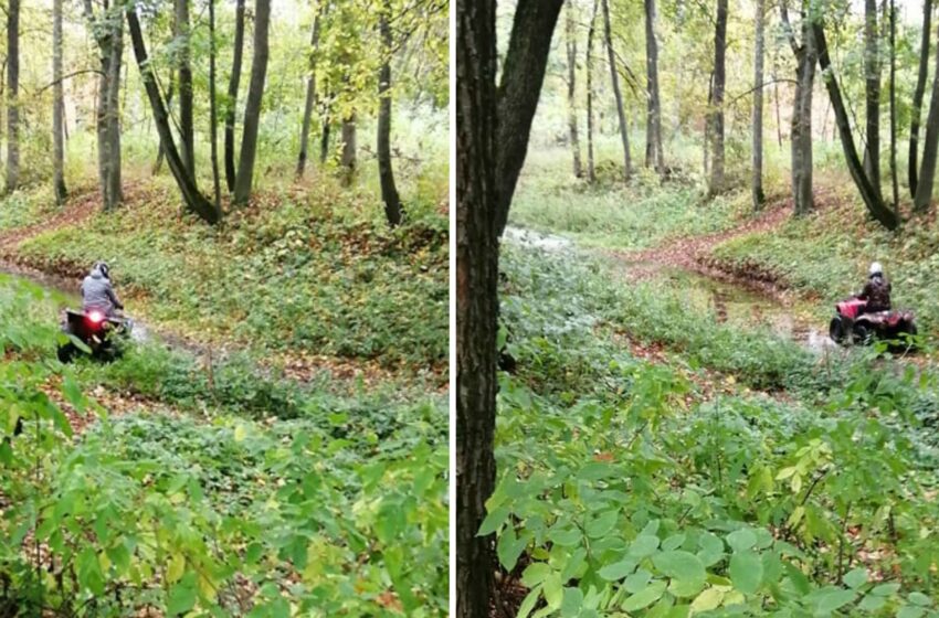  Šlapaberžės parką niokoja keturračiai