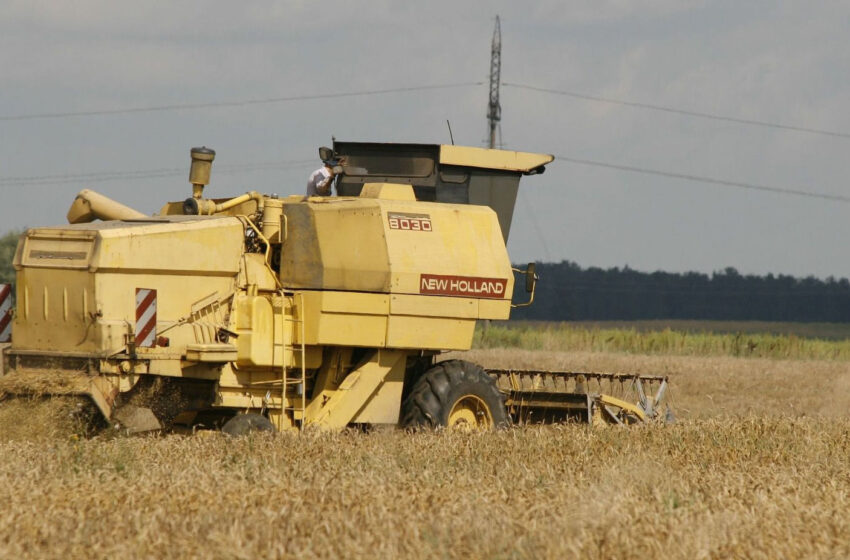  Nuo sausros nukentėjusiems ūkininkams sušvelninti žalinimo reikalavimai